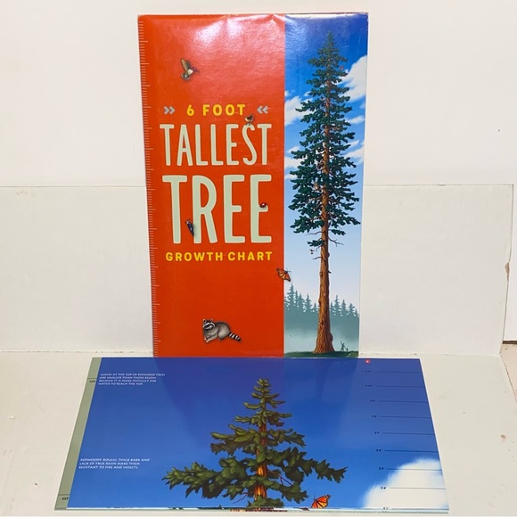 2004 Golden Gate National Parks Conservancy Tallest Tree 6 Foot Growth Chart - Picture 3 of 16